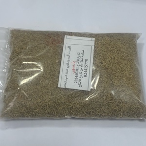 يانسون